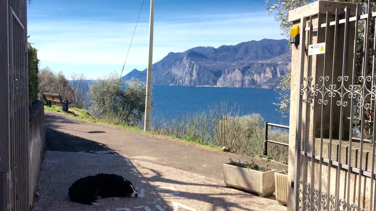 Villa Gaia Malcesine Ngoại thất bức ảnh